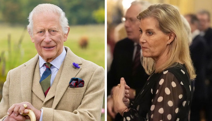 Duchess Sophie dutifully accepts King’s orders as Andrew inquiry begins
