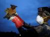 Deadly Nipah virus deemed 'limited' by scientists