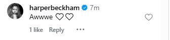 Victoria, David Beckham melt hearts with Valentines Day tributes