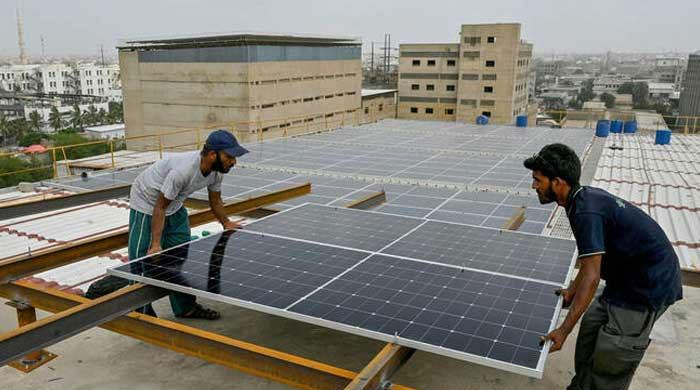 How Pakistan penalised a green revolution