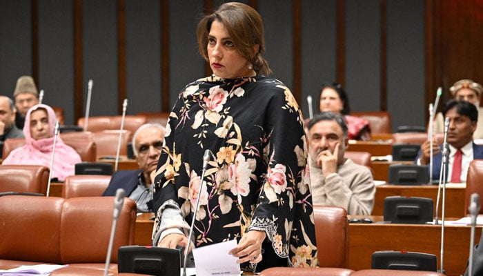 PPPs Palwasha Zai passes resolution in Senate on February 24, 2026. — Facebook/Pakistansenate