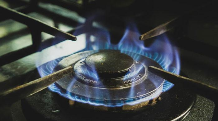 Rising gas bills: Experts ask PM to end monopoly