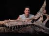 Scientists discover giant bird-like dinosaur in Niger desert