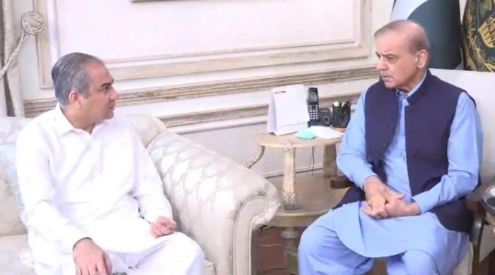 Interior Minister Naqvi set to visit Iran, receives guidelines from PM Shehbaz: PMO