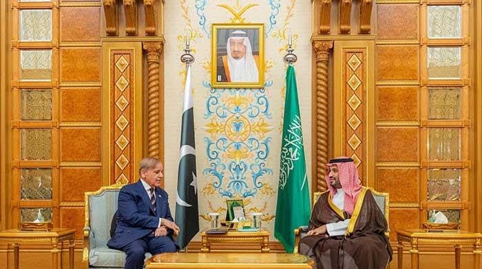 In phone call with MBS, PM Shehbaz slams ‘serious regional escalation'