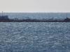 US approves temporary sale of stranded Russian oil to India