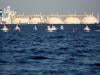 Qatar energy minister warns war will force Gulf to halt energy exports within weeks
