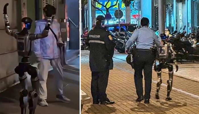 Robot ‘arrested in China after terrifying elderly woman