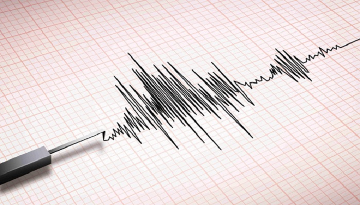 A Richter scale measuring earthquake can be seen in this representational image. — Reuters/File