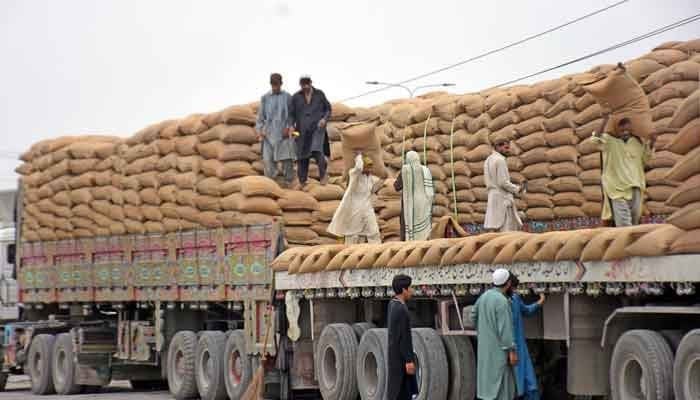 Labourers can be seen transferring the wheat sacks in Islamabad. —Online/File