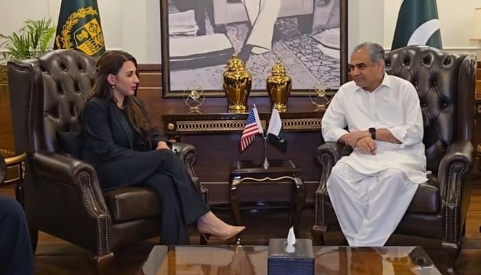 Interior Minister Mohsin Naqvi and  US Ambassador Natalie Baker pictured during a meeting on April 9, 2026. — X@MOIofficialGoP