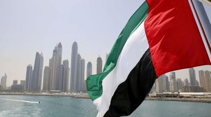 UAE leader urges citizens to hoist national flag on homes to show unity