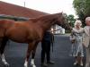 King Charles and Camilla embrace thrill of horse racing in new era 