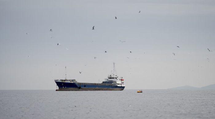 Scam messages offering ships safe transit through Hormuz, warns security firm