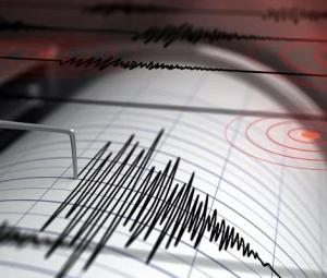 Six people hurt but no serious damage from powerful Japan quake