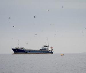 Scam messages offering ships safe transit through Hormuz, warns security firm