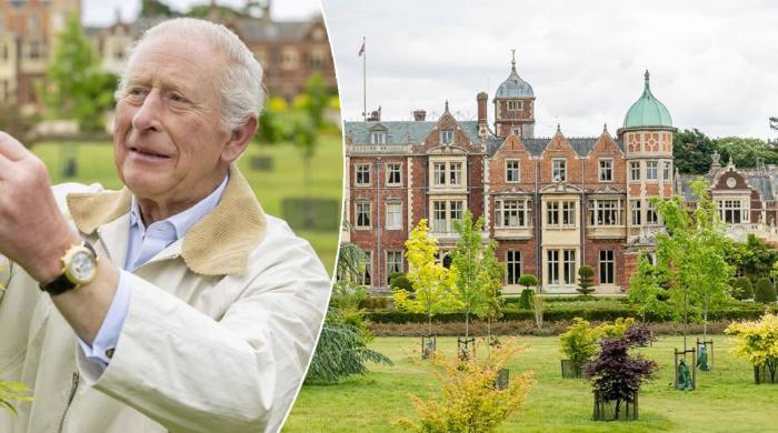 King Charles team unveils mission to secure grandchildren's inheritance