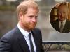 Prince Harry shares new message after King Charles confirms key royal team