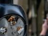 UK lawmakers approve lifetime smoking ban for today's under-18s