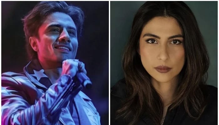This collage shows undated photos of singer Ali Zafar (left) and artist Meesha Shafi. — Instagram/@ali_zafar/@meesha.shafi/File