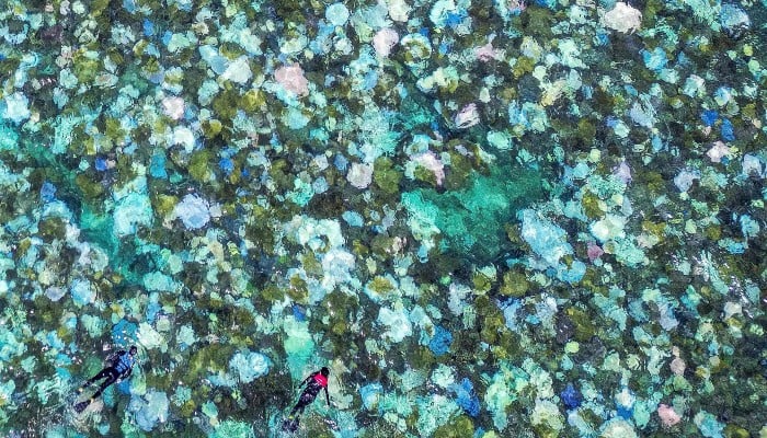 This aerial photo taken on April 5, 2024, shows tourists snorkelling above bleached and dead coral around Lizard Island on the Great Barrier Reef, located 270 kilometres (167 miles) north of the city of Cairns. — AFP