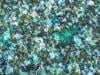 'Dread': Coral scientists fear bleaching El Nino could bring