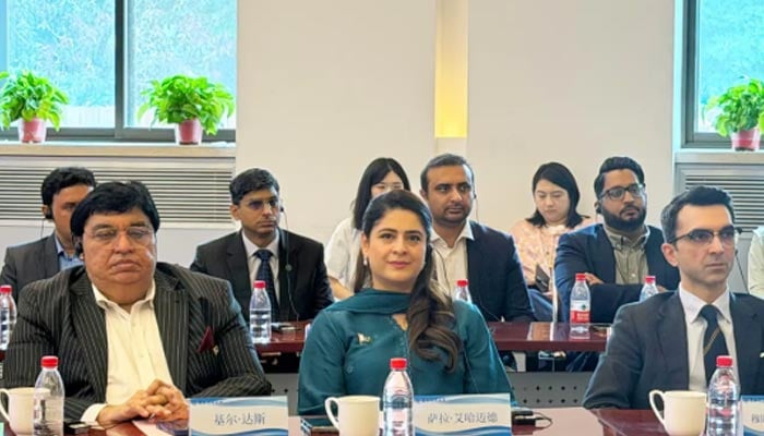 Child Protection Bureau Punjab Chairperson MPA Sarah Ahmad at Capital Normal University, China. — Instagram/@sahmad1986