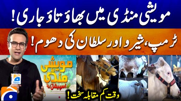 Maweshi Mandi Special | 25th April 2026