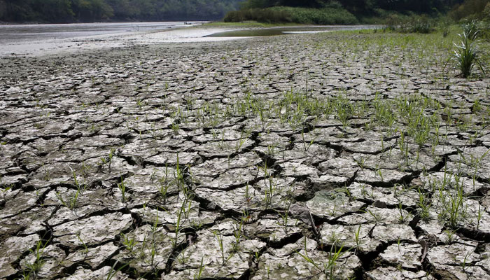 An area is uncovered by the lowering of the water level from the Magdalena river, the longest and most important river in Colombia, due to the lack of rain, in the city of Honda. — Reuters/File