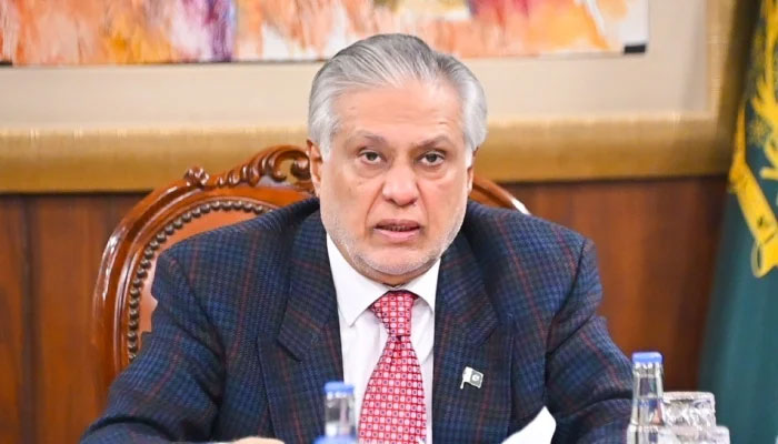 Deputy Prime Minister and Foreign Minister Senator Ishaq Dar virtually addresses Economic Cooperation Organisation (ECO) Council of Ministers (COM) meeting on November 28, 2025. — X/@ForeignOfficePk
