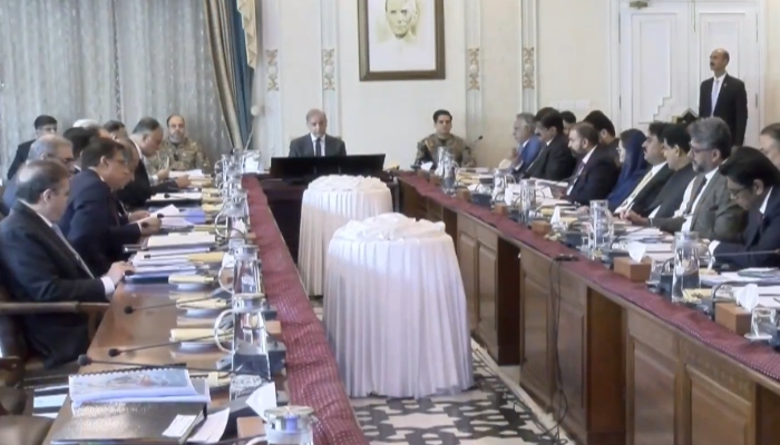 Prime Minister Shehbaz Sharif addresses a meeting of the National Economic Council (NEC) in Islamabad, June 10, 2026. — Screengrab via YouTube/Geo News