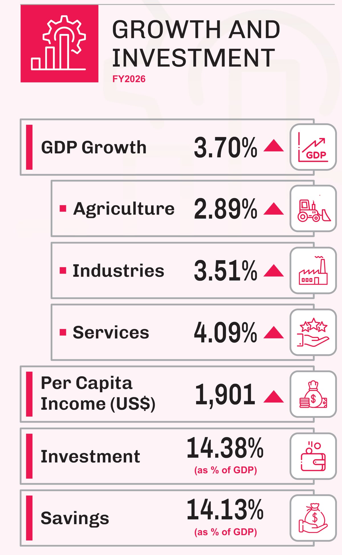 Pakistans economy size reaches highest-ever level but misses growth target