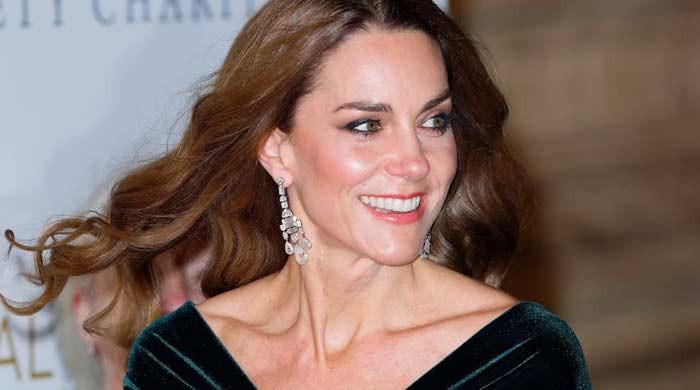 Princess Kate hailed as royal family's lifeblood: 'Keeping monarchy alive'