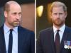 Princes William, Harry forced into important alliance amid estrangement