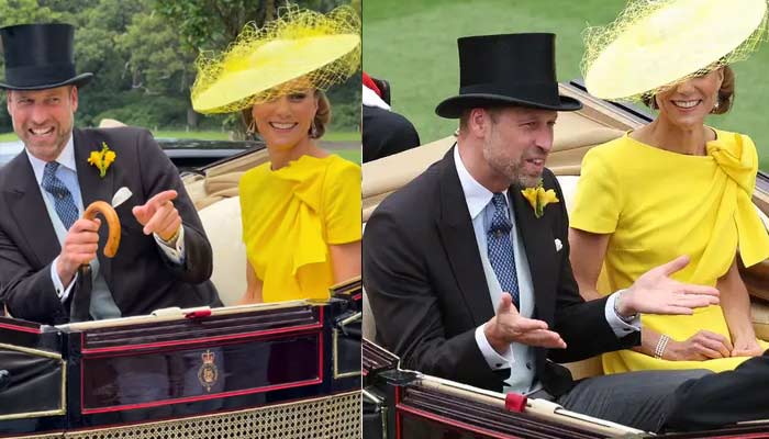 Princess Kate shows off grace, elgance after Meghans announcement