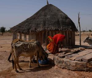 India learns to live with hotter summers