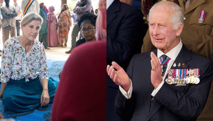 King Charles backs Duchess Sophie fight for womens rights in new message
