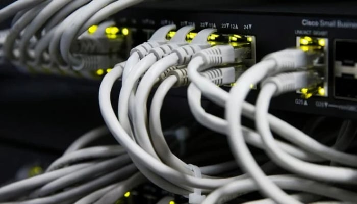 Ethernet cables used for internet connection are seen in this undated image. — Reuters/File