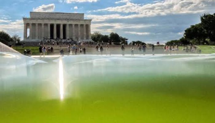 Trump defends reflecting pool project, blames ‘deranged’ vandals
