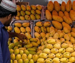 Pakistan's mango exports shrink as Middle East war impacts linger