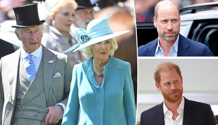 Queen Camilla warns King about William, Harry meeting: ‘huge gamble’