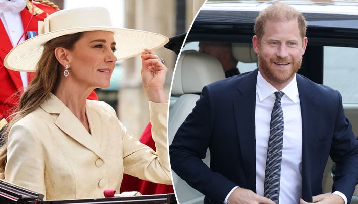 Princess Kate gets surprise nod from Prince Harry despite feud