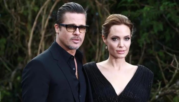 Brad Pitt recently bagged a win in Angelina Jolie’s winery legal battle