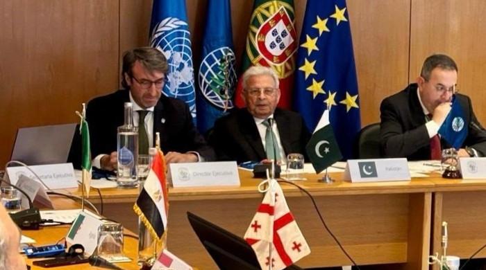 Pakistan takes permanent seat at International Olive Council for first time