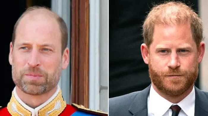 Prince Harry believes people don't know 'real William'