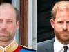 Prince Harry believes people don't know 'real William'