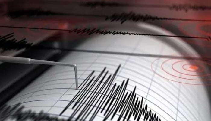 Picture showing a Richter Scale reading of an earthquake. — Reuters/File