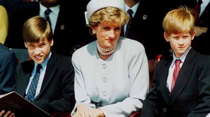 Princess Diana's ally reveals William, Harry quiet gesture for sombre event