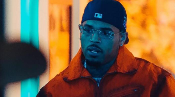 Chris Brown celebrates despite $13M verdict in housekeeper dog attack case