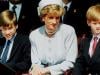 Princess Diana's ally reveals William, Harry quiet gesture for sombre event